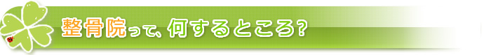 クローバー整骨院って、どんなところ？